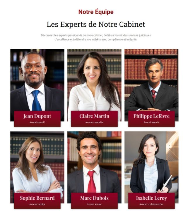 notre equipe avocat vsagency